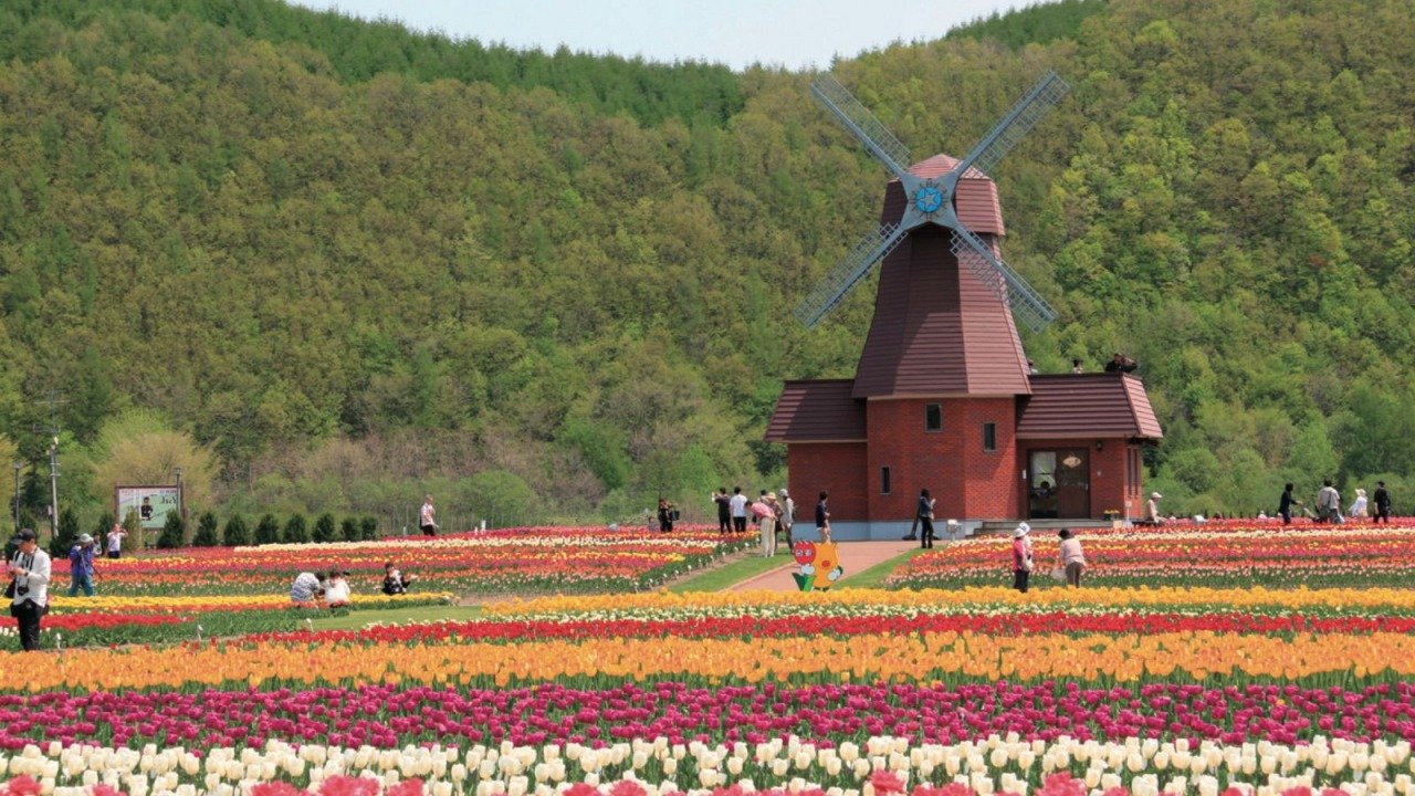 🌷 가미유베쓰 튤립 공원(카미유베쓰츄릿푸코엔)